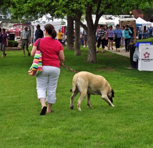 Excelsior Art Fair 6.8.13 029ps