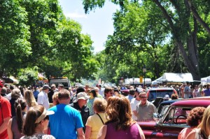 Stone Arch Bridge Art Festival 6.13 024