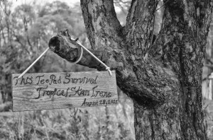 Vermont%252525201%25252520081