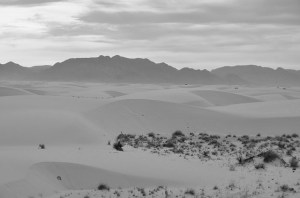 14067029075_de951c7842_z