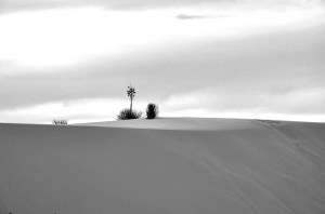 14067059495_56e538de35_z