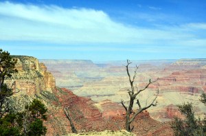 14067182474_91dc407e76_zPS