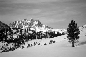 14185321376_0591a64bd9_z