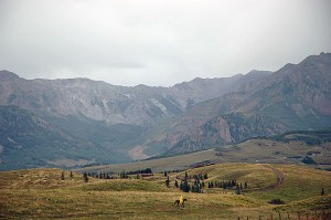 I call this the lone cowboy.