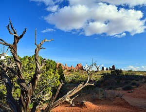 14367023753_de544ce8a8_z