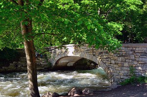 14374480832_a79caa3449_z