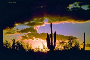 Arizona Sunset