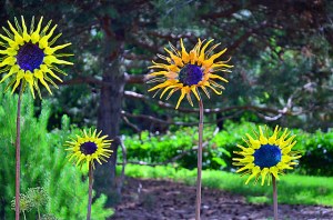 14357915937_889dfe849d_z