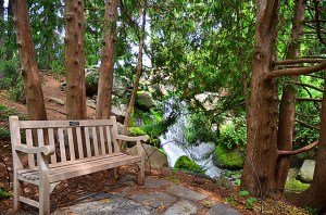 14542794064_e4648a8110_z