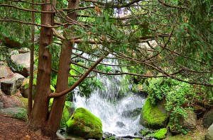 14543387572_13becd8b42_z