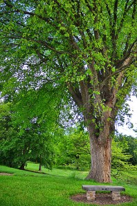 14543481332_ac374f46f0_z