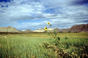 Badlands