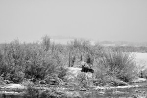 12698527164_cf07265af4_z