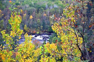 15244352370_7ba3f546c6_z_edited-1