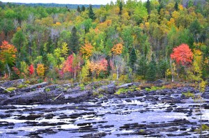 15244545887_6f05e22d6d_z