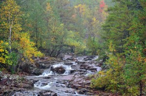 15408131646_c29ac2067f_z