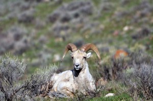 12698206293_2deb4b3b12_z