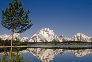 12698214203_38ecd86d1f_z