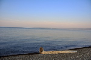 12721409383_63b1994d51_z