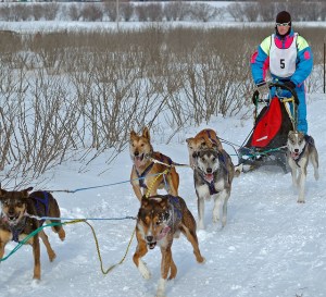 12749227864_fde09a152b_z