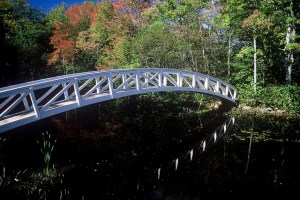 12794801063_219d99d574_z