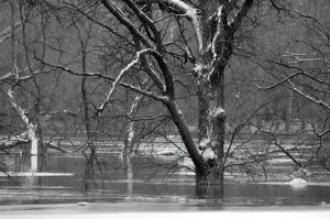 10678824265_51b6e16e21_z