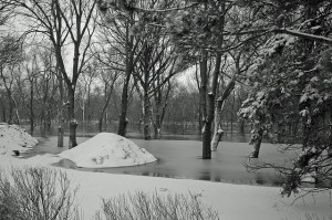 10678844286_d6161d9ce5_z