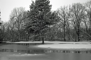 10679064553_9e49d8b620_z