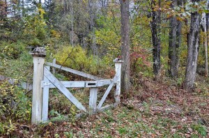 12567848543_dbcdec6f0f_z