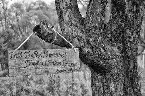 12568204944_8191146555_z