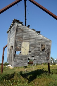 12590917453_6c0d322365_z