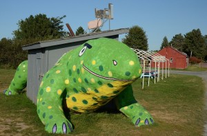 12591236284_14b8ef6568_z