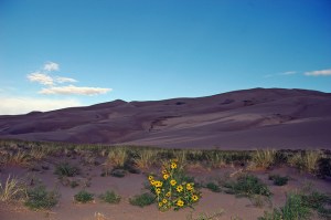 12677224853_75db8919e6_z