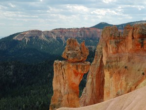 12772508894_a5c732c2c1_z