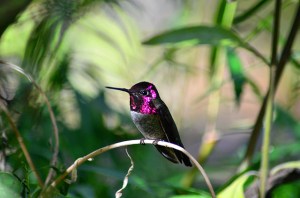 15596312024_18e242936b_z