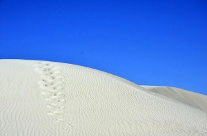 15979850028_6d1fdf2d09_z