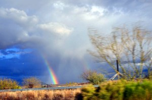 15660861984_f6e3595618_z