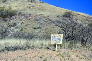 16475643175_e00d87f7a9_z