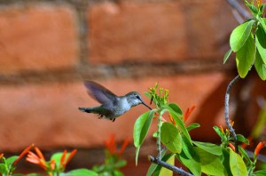 16216841581_95e5ac0ff7_z