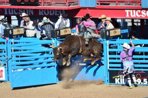 16450934687_362f7c77a2_z