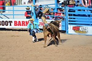 16472062859_ed6aac445d_z