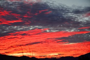 16595806075_6df3c8c011_z