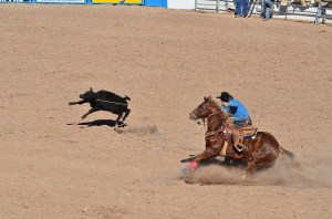 16657222932_7b2a4b2a56_z