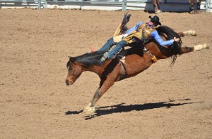 16658366245_6e96bdd09e_z