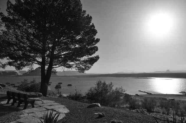 16452612393_b1463f6750_z