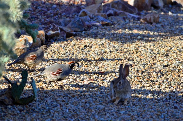 16394938290_c88ab06a0f_k