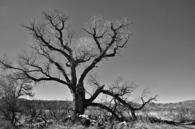 15855577183_9bf1252a80_k