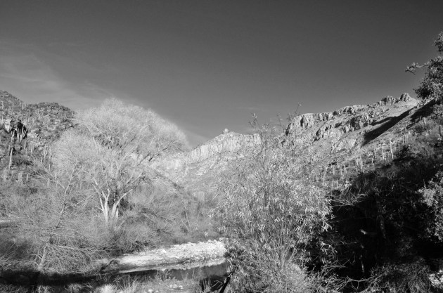 16332866292_ee3171a437_k