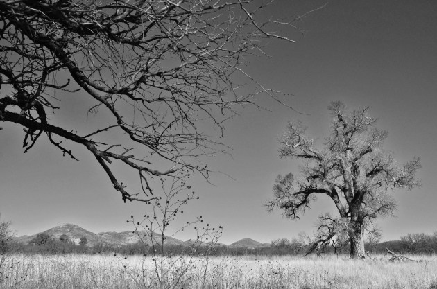 16474769332_c68993da7a_k