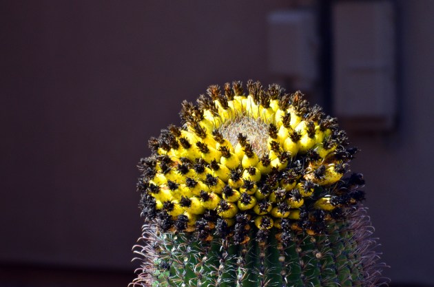 16592640289_ed25e82d60_k